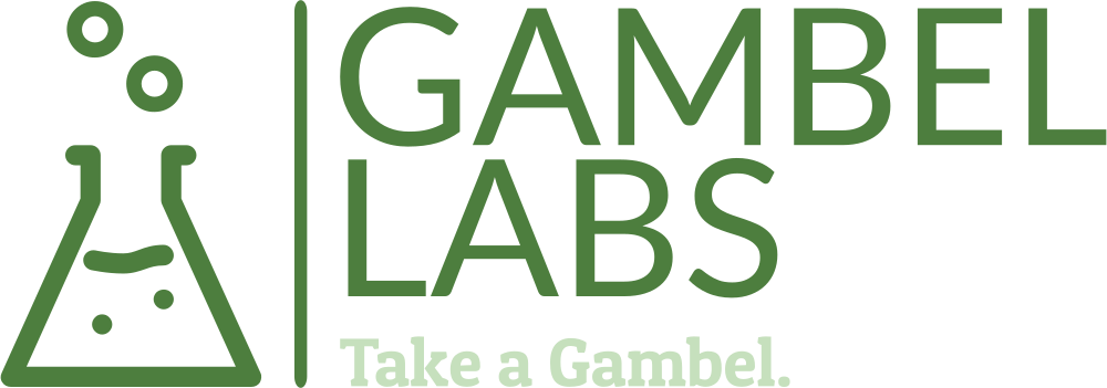 GambelLabs IT Consulting